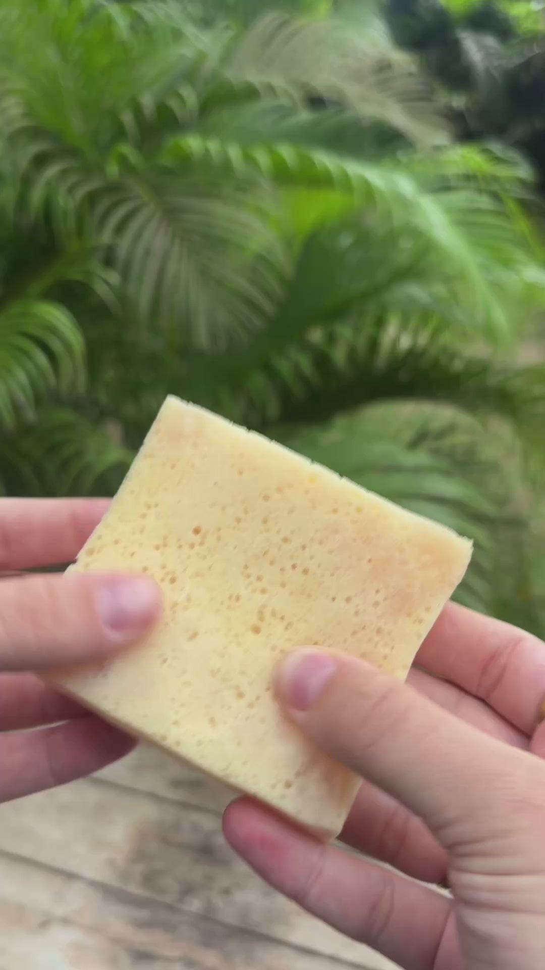 Korean Cleansing Soap Sponge
